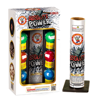 ABSOLUTE POWER W/GIANT SILVER TAIL