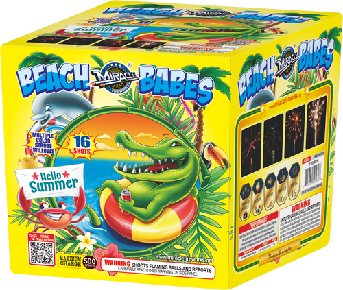 16'S BEACH BABES(350G CAKE)