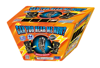 44'S CAN YOU HEAR ME NOW?(500G FAN CAKE WITH LOUD WHISTLES)