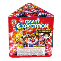 GREAT EXPECTATION 9'S