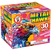 METAL HAWK 30'S