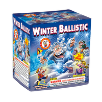 WINTER BALLISTIC 20'S