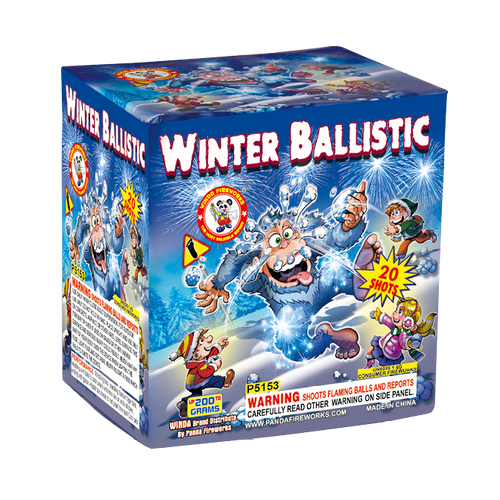 WINTER BALLISTIC 20'S