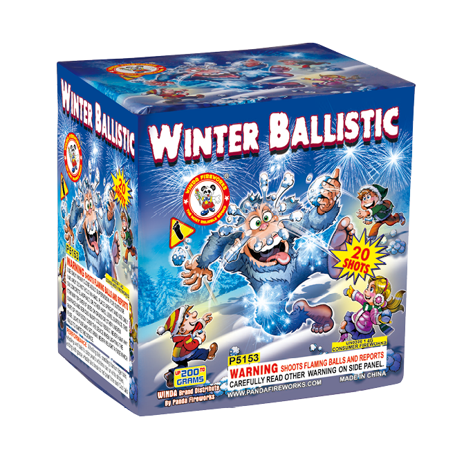 WINTER BALLISTIC 20'S