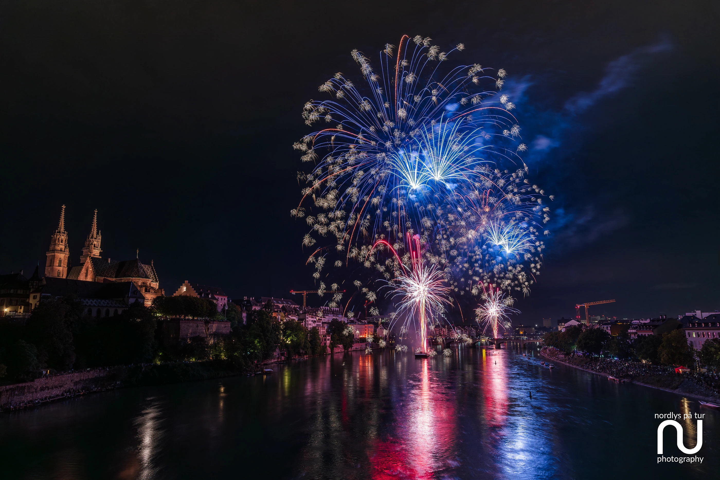 Shows That Steal the Night