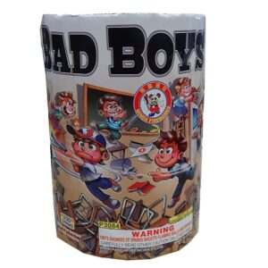 Bad Boys