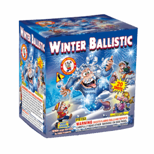 WINTER BALLISTIC 20'S